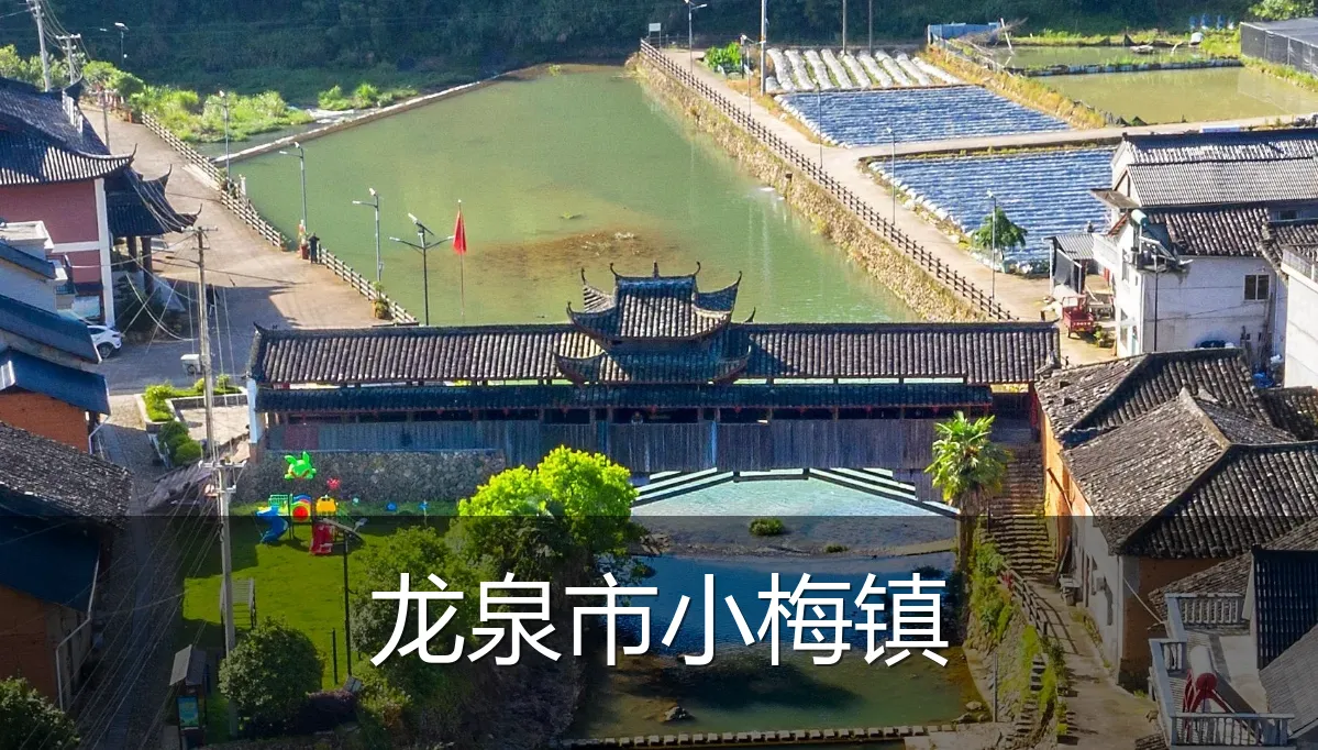 龙泉市小梅镇