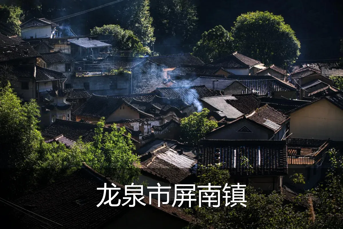 龙泉市屏南镇