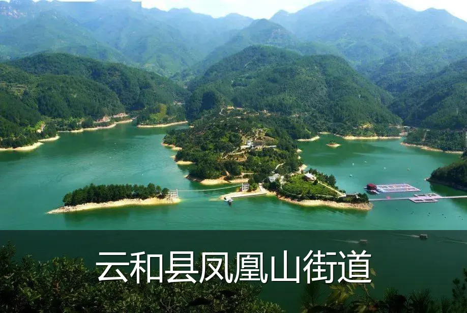 云和县凤凰山街道