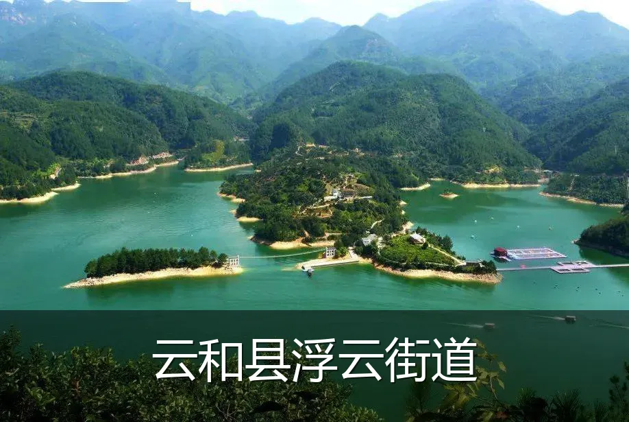 云和县浮云街道