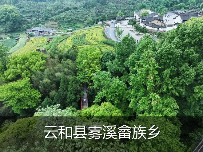 云和县雾溪畲族乡