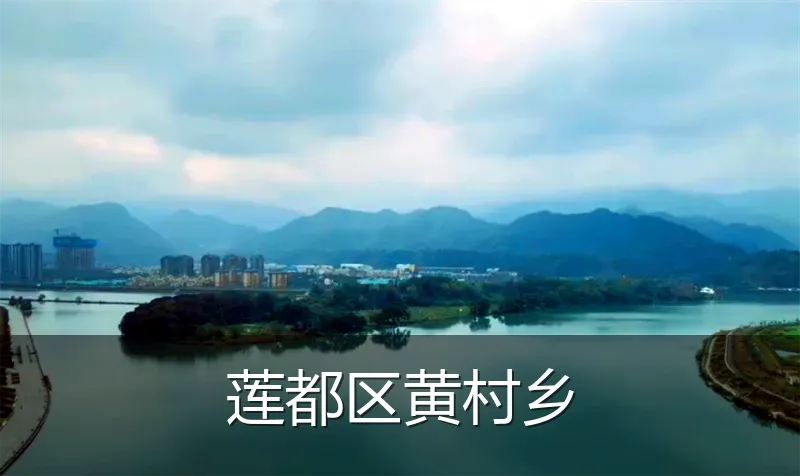 莲都区黄村乡