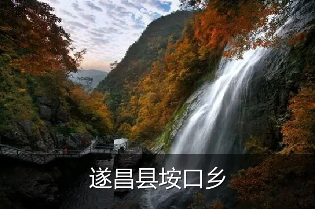 遂昌县垵口乡