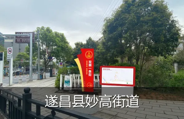 遂昌县妙高街道