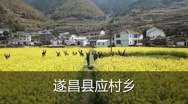遂昌县应村乡