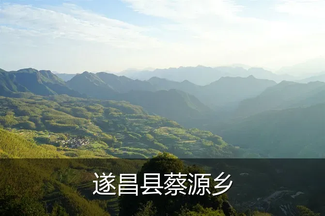 遂昌县蔡源乡