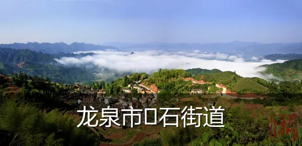 龙泉市石街道