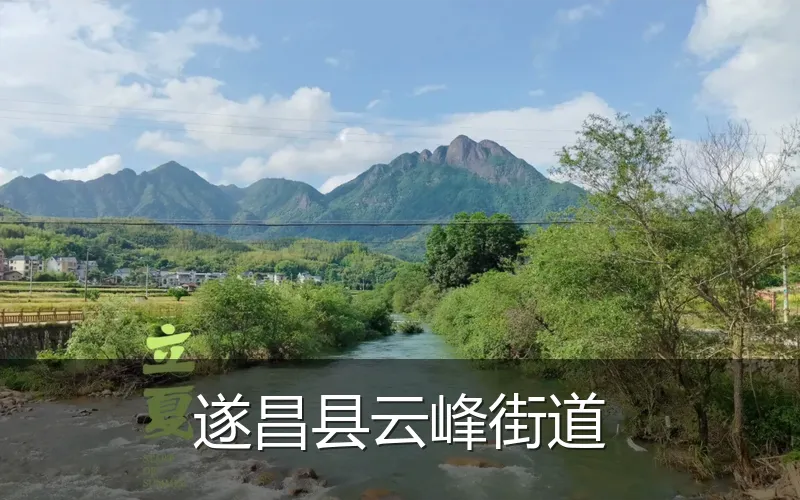遂昌县云峰街道