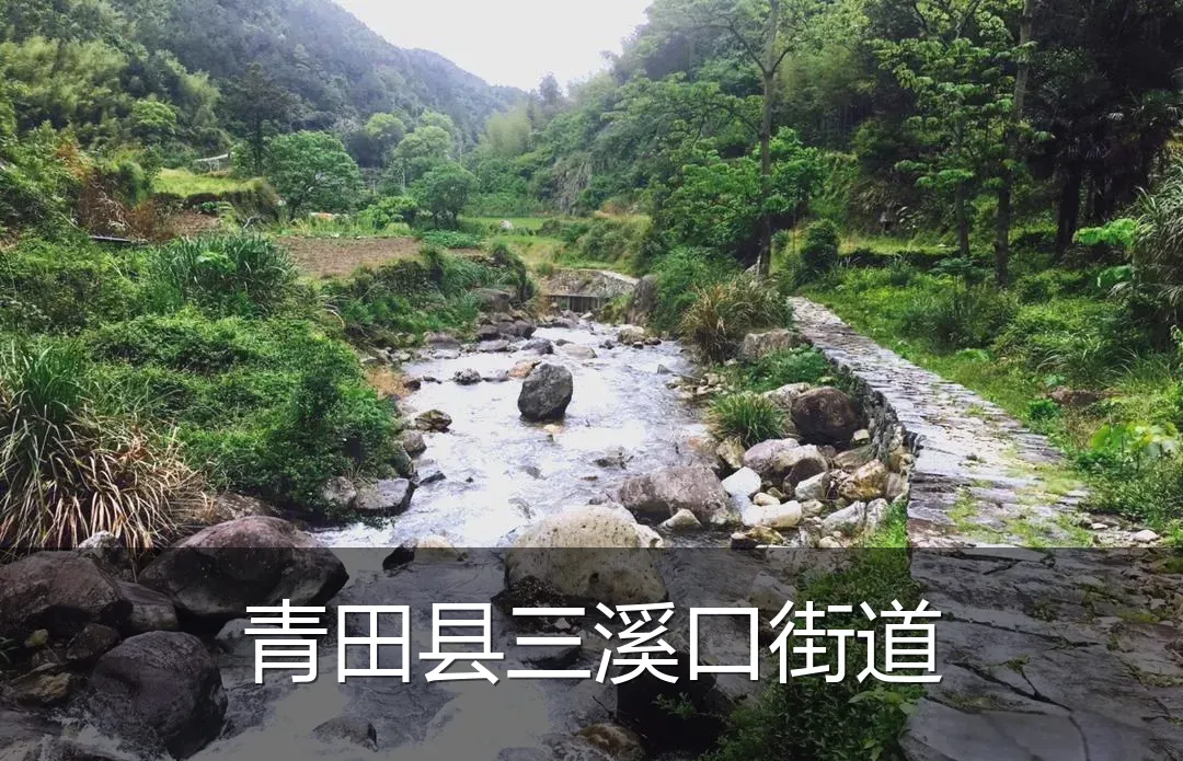 青田县三溪口街道