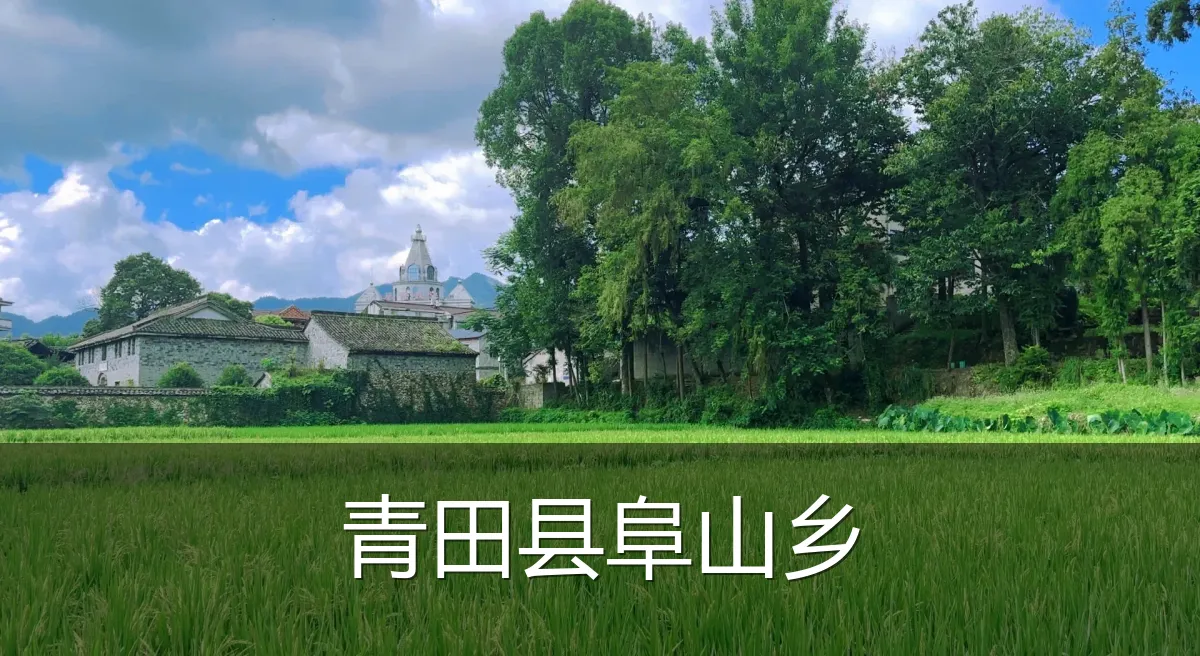 青田县阜山乡