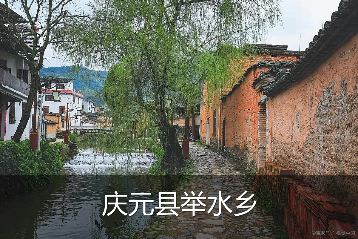 庆元县举水乡
