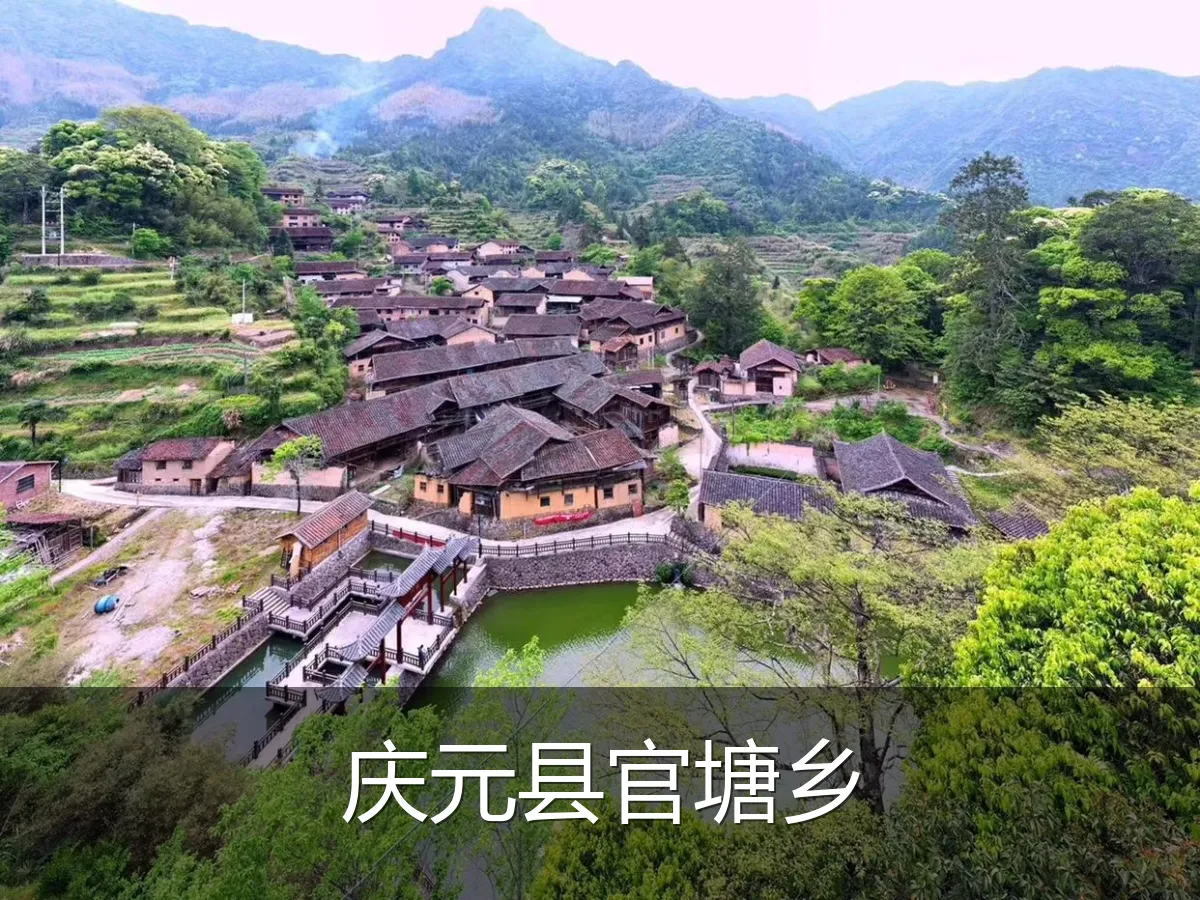 庆元县官塘乡