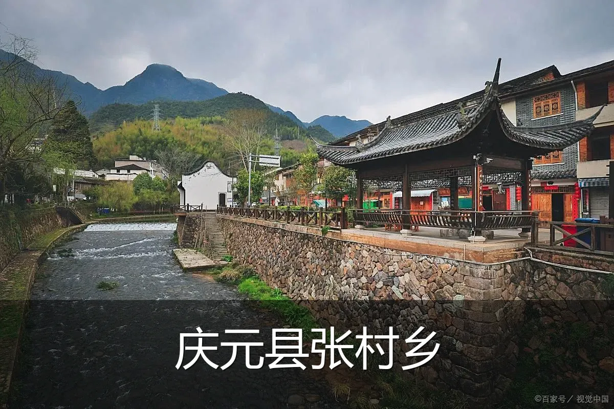 庆元县张村乡