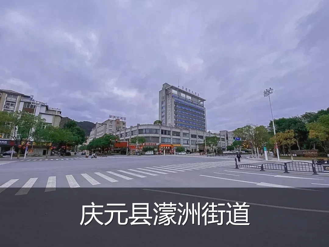 庆元县濛洲街道