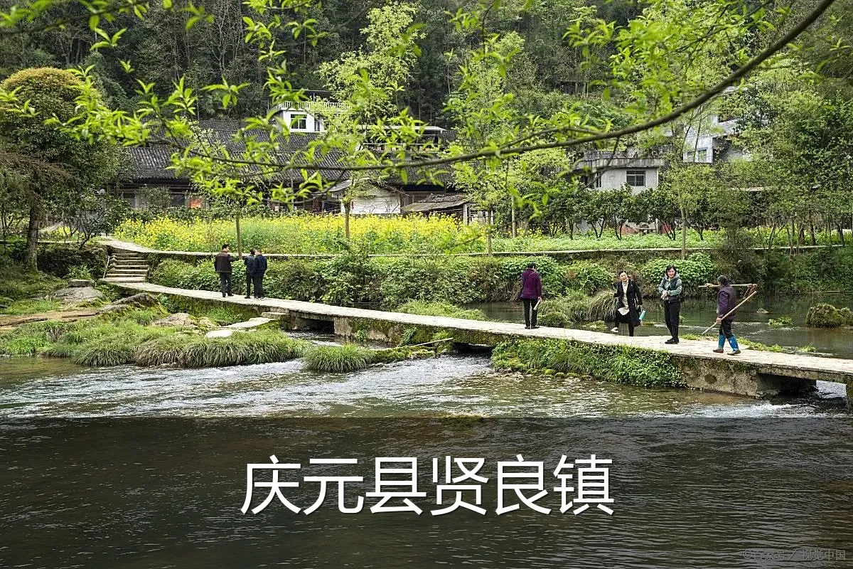 庆元县贤良镇