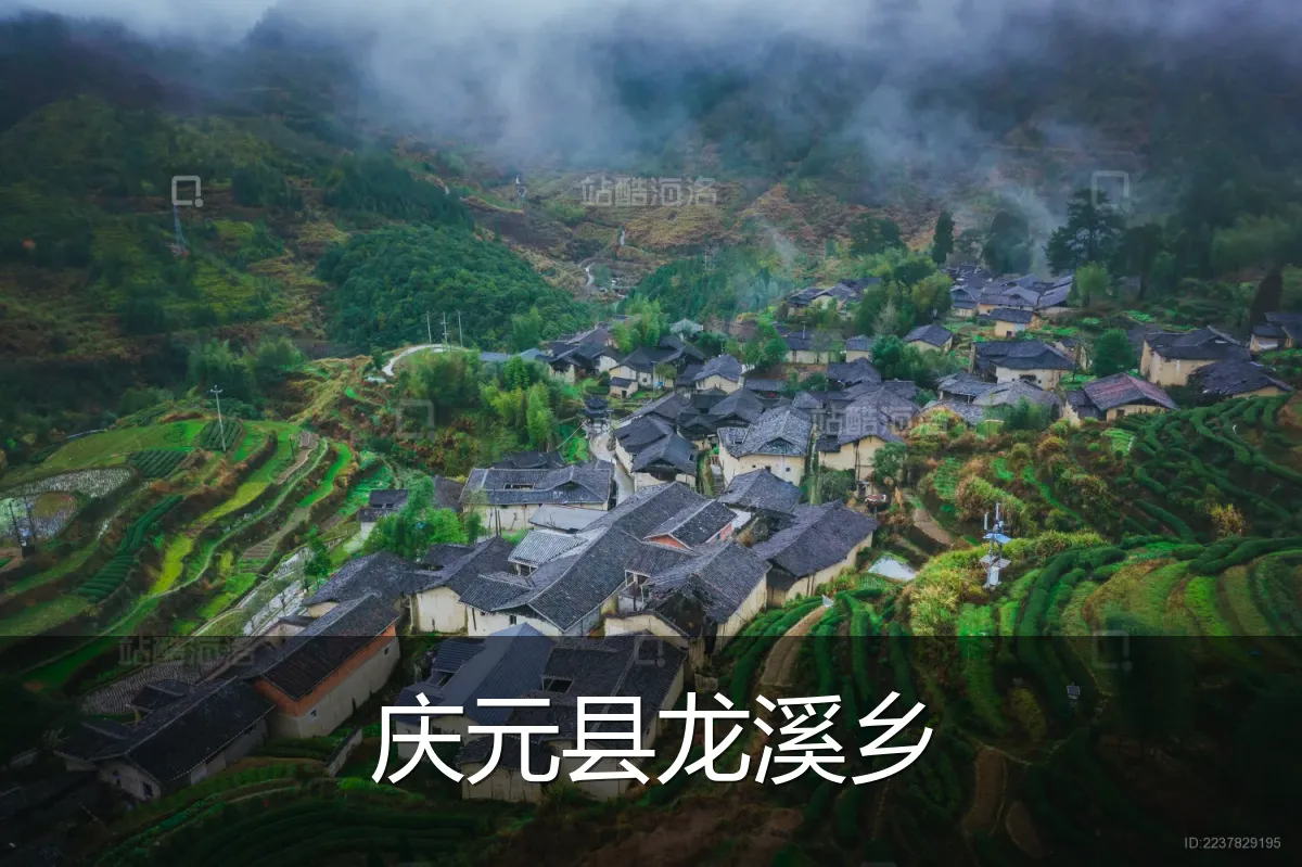 庆元县龙溪乡