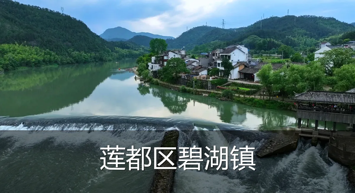 莲都区碧湖镇